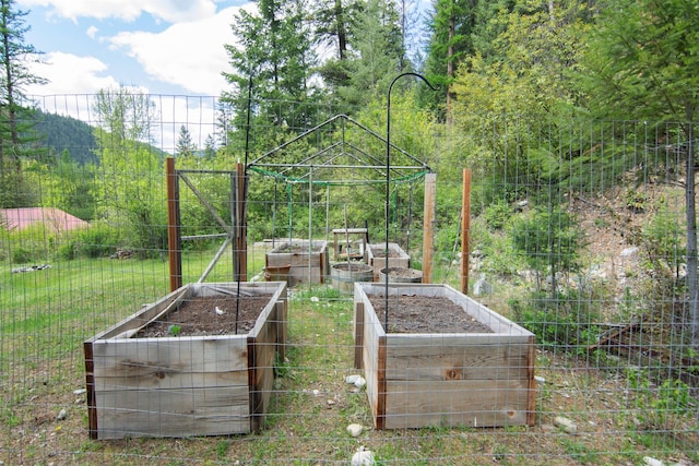 view of yard featuring a vegetable garden