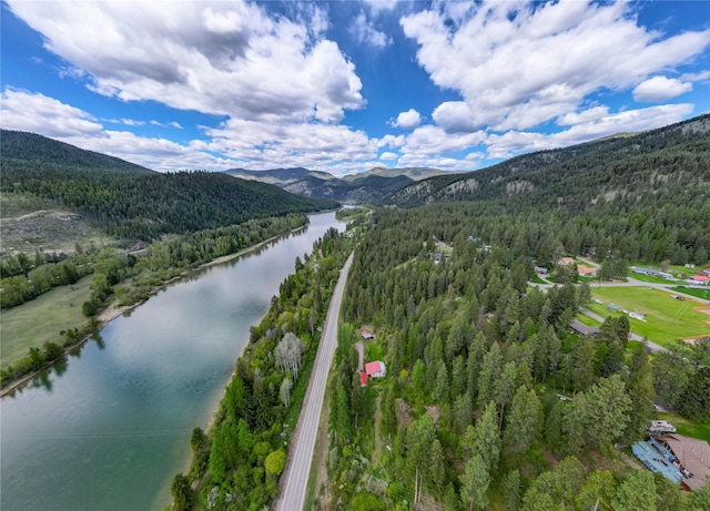aerial view of a forest and a water and mountain view