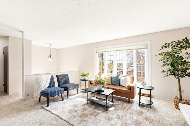 living area featuring a textured ceiling and carpet floors