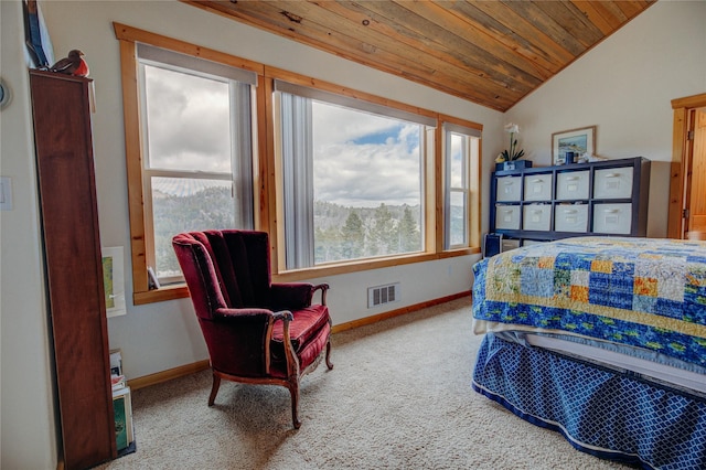 45 Bay Rd, Whitehall, MT 59759 - bedroom featuring vaulted ceiling, carpet flooring, visible vents, and baseboards
