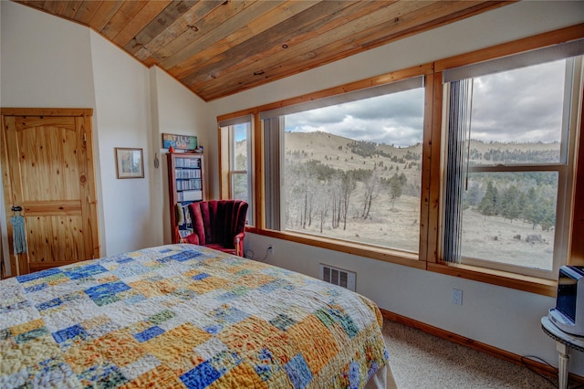 45 Bay Rd, Whitehall, MT 59759 - carpeted bedroom with baseboards, a mountain view, wood ceiling, and vaulted ceiling
