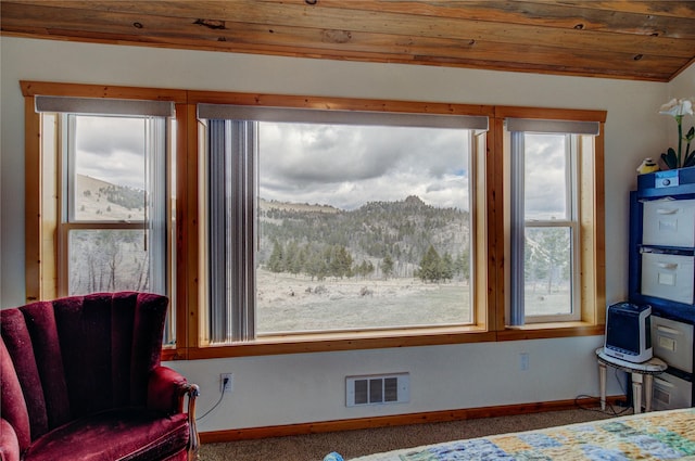 45 Bay Rd, Whitehall, MT 59759 - interior space featuring a mountain view, visible vents, wooden ceiling, carpet floors, and baseboards