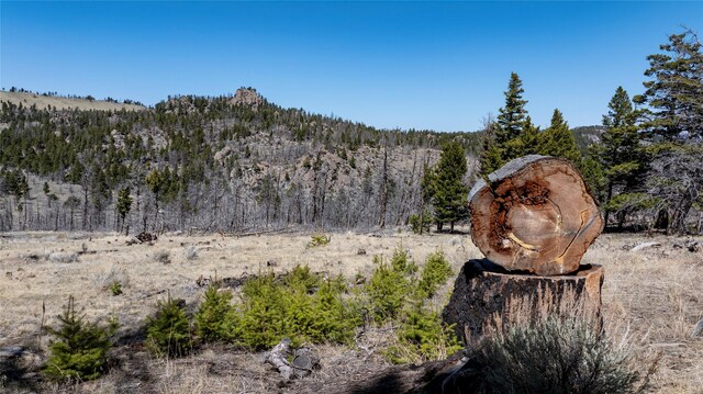 45 Bay Rd, Whitehall, MT 59759 - mountain view with a forest view