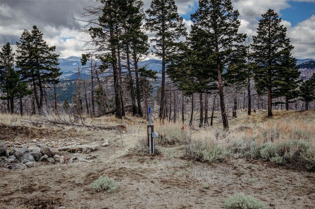 45 Bay Rd, Whitehall, MT 59759 - view of local wilderness with a mountain view