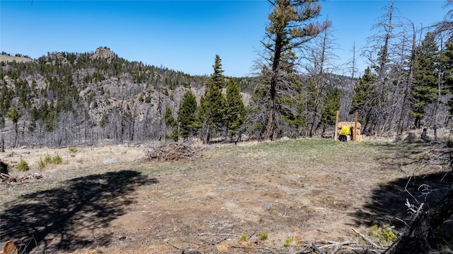 45 Bay Rd, Whitehall, MT 59759 - view of nature with a mountain view and a forest view