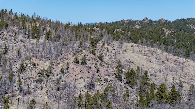 45 Bay Rd, Whitehall, MT 59759 - view of local wilderness with a view of trees