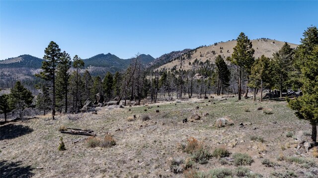 45 Bay Rd, Whitehall, MT 59759 - mountain view
