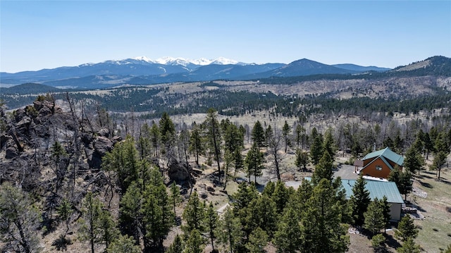 45 Bay Rd, Whitehall, MT 59759 - mountain view featuring a view of trees