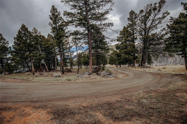 45 Bay Rd, Whitehall, MT 59759 - view of road