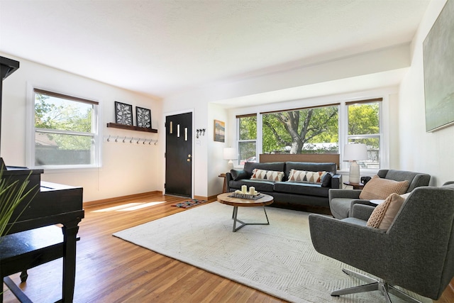living area featuring baseboards and wood finished floors