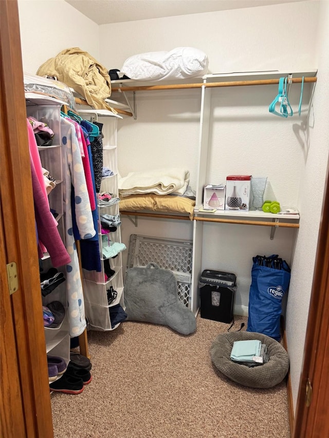 105 Garden Dr Unit D, Kalispell, MT 59901 - spacious closet with carpet floors