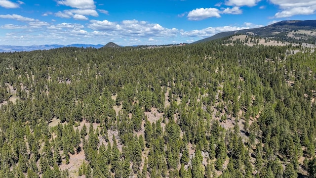 617 Mcclellan Creek Rd, Clancy, MT 59634 - view of mountain backdrop with a heavily wooded area