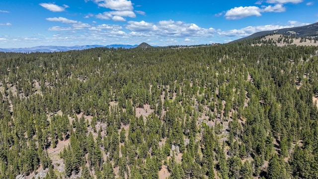 617 Mcclellan Creek Rd, Clancy, MT 59634 - mountain view featuring a heavily wooded area
