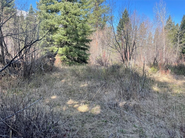 617 Mcclellan Creek Rd, Clancy, MT 59634 - view of undeveloped land