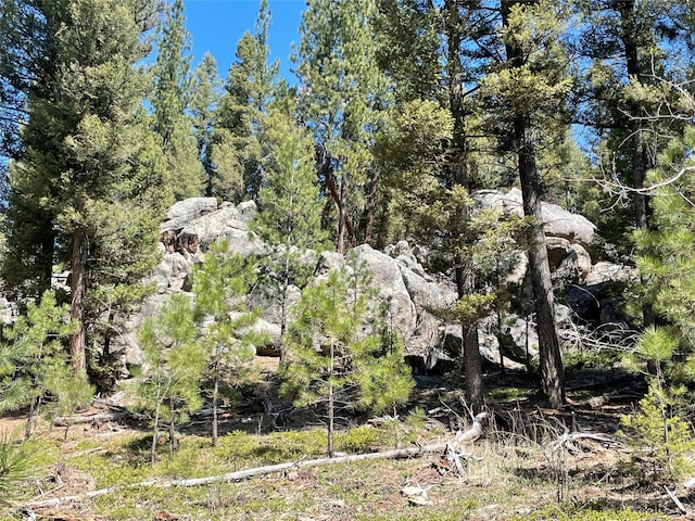 617 Mcclellan Creek Rd, Clancy, MT 59634 - view of undeveloped land