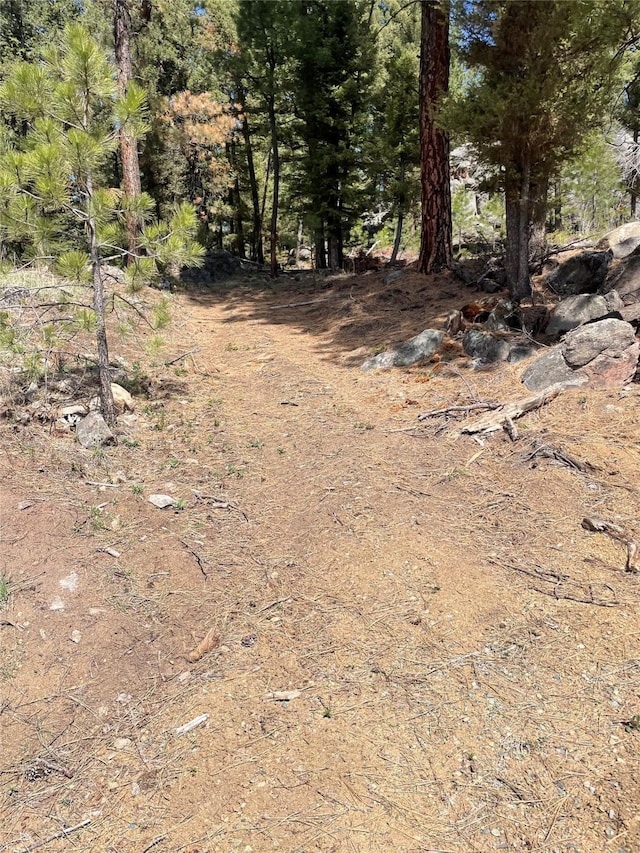 617 Mcclellan Creek Rd, Clancy, MT 59634 - view of undeveloped land