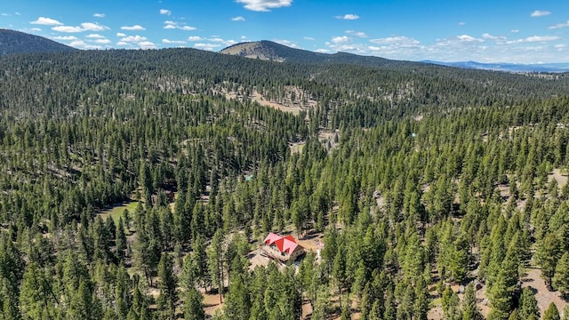 617 Mcclellan Creek Rd, Clancy, MT 59634 - mountain view featuring a forest