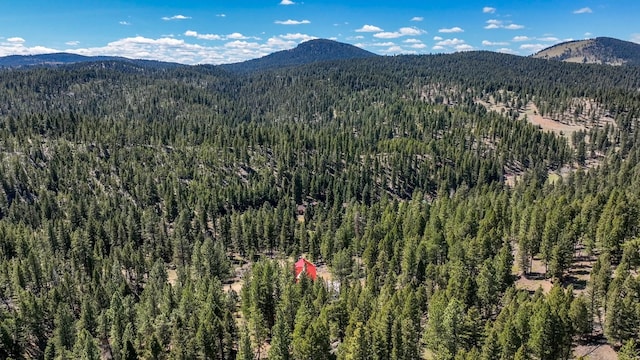 617 Mcclellan Creek Rd, Clancy, MT 59634 - mountain view with a forest