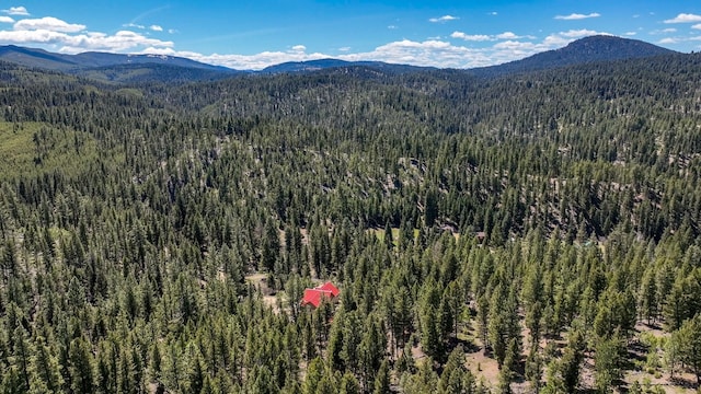 617 Mcclellan Creek Rd, Clancy, MT 59634 - view of mountain background featuring a heavily wooded area