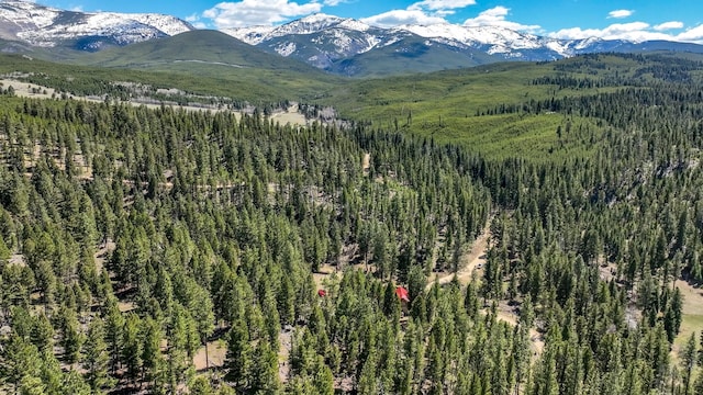 617 Mcclellan Creek Rd, Clancy, MT 59634 - view of mountain background featuring a forest