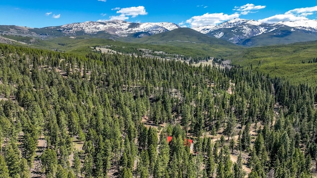 617 Mcclellan Creek Rd, Clancy, MT 59634 - view of mountain backdrop with a heavily wooded area