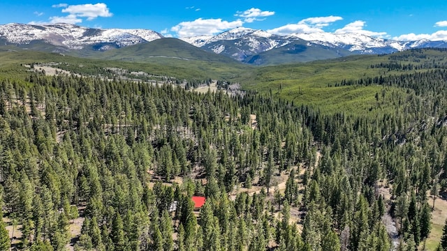 617 Mcclellan Creek Rd, Clancy, MT 59634 - view of mountain background featuring a heavily wooded area