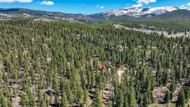617 Mcclellan Creek Rd, Clancy, MT 59634 - view of mountain background featuring a forest