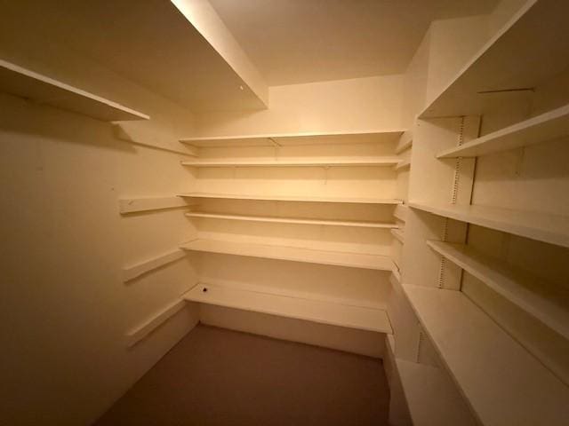 120 29th Ave NW, Great Falls, MT 59404 - view of spacious closet