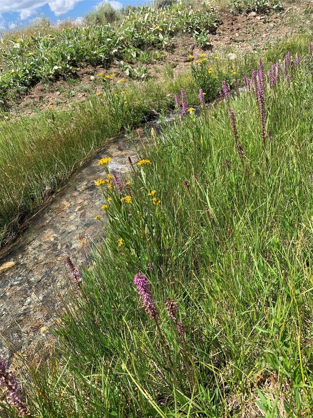 TRACT3 Slide Rock Rd, Cameron, MT 59720