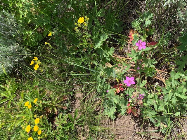 TRACT3 Slide Rock Rd, Cameron, MT 59720