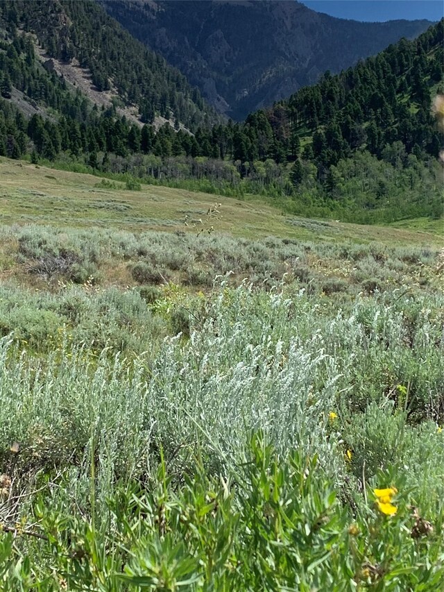TRACT3 Slide Rock Rd, Cameron, MT 59720
