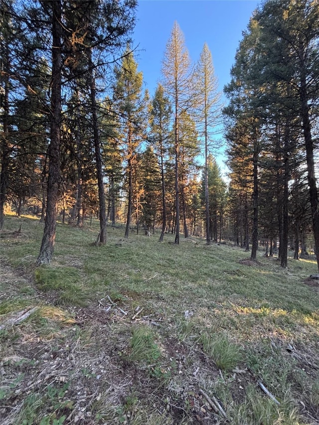 139 Montana View Dr, Seeley Lake, MT 59868
