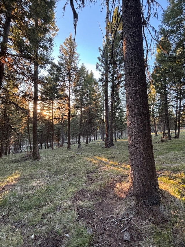 139 Montana View Dr, Seeley Lake, MT 59868