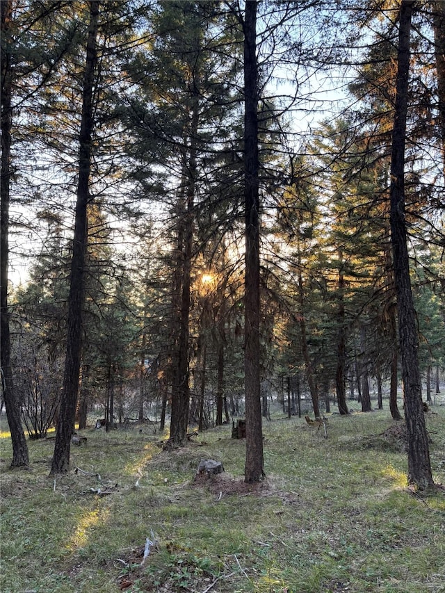 139 Montana View Dr, Seeley Lake, MT 59868