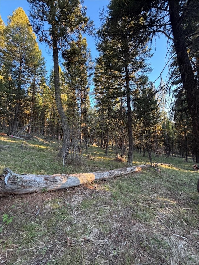 139 Montana View Dr, Seeley Lake, MT 59868