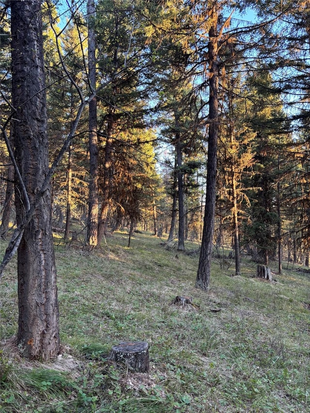 139 Montana View Dr, Seeley Lake, MT 59868