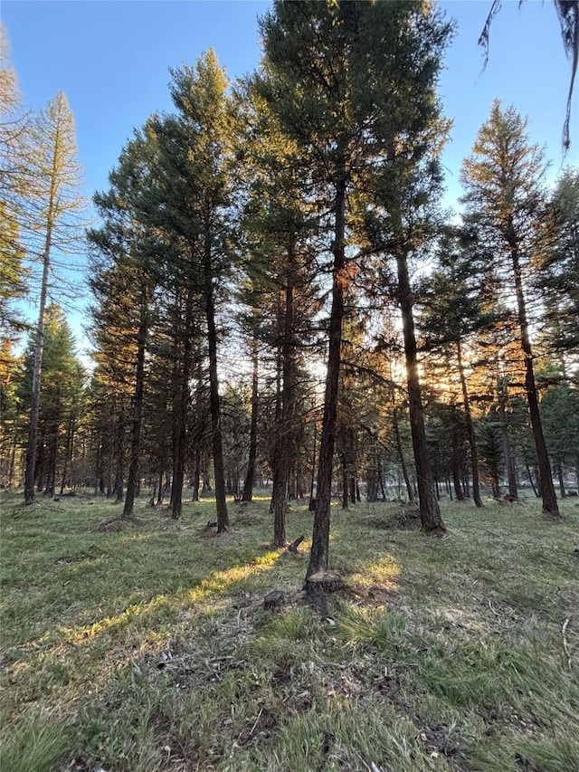 139 Montana View Dr, Seeley Lake, MT 59868