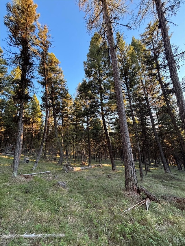 139 Montana View Dr, Seeley Lake, MT 59868