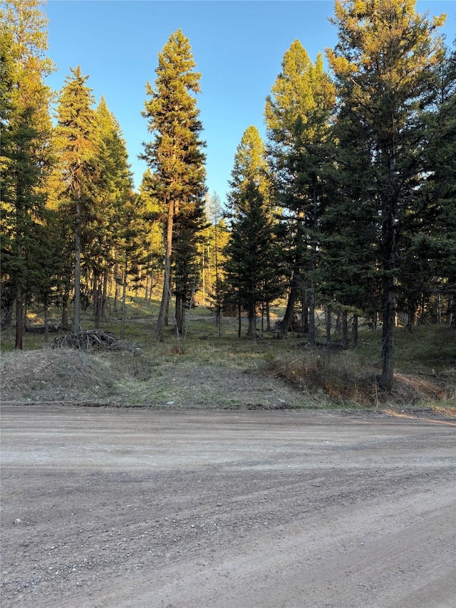 139 Montana View Dr, Seeley Lake, MT 59868