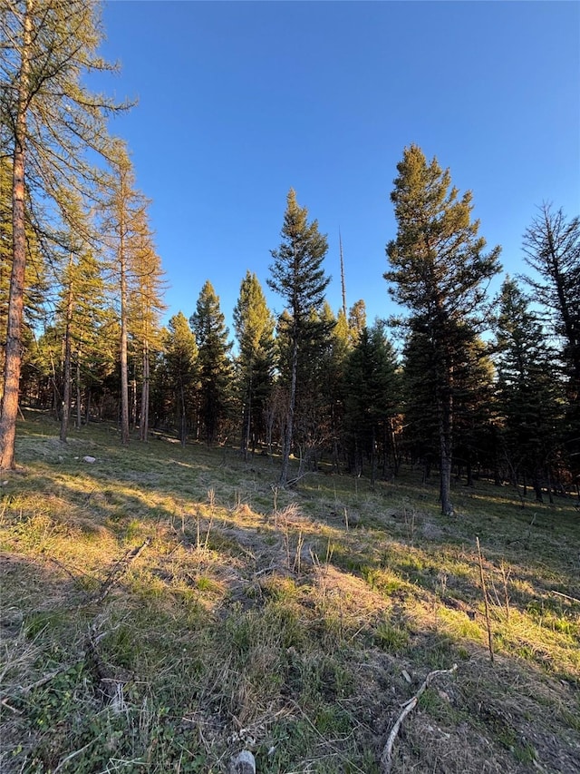 139 Montana View Dr, Seeley Lake, MT 59868