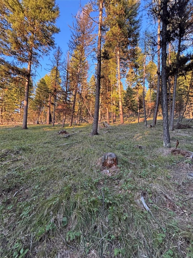 139 Montana View Dr, Seeley Lake, MT 59868