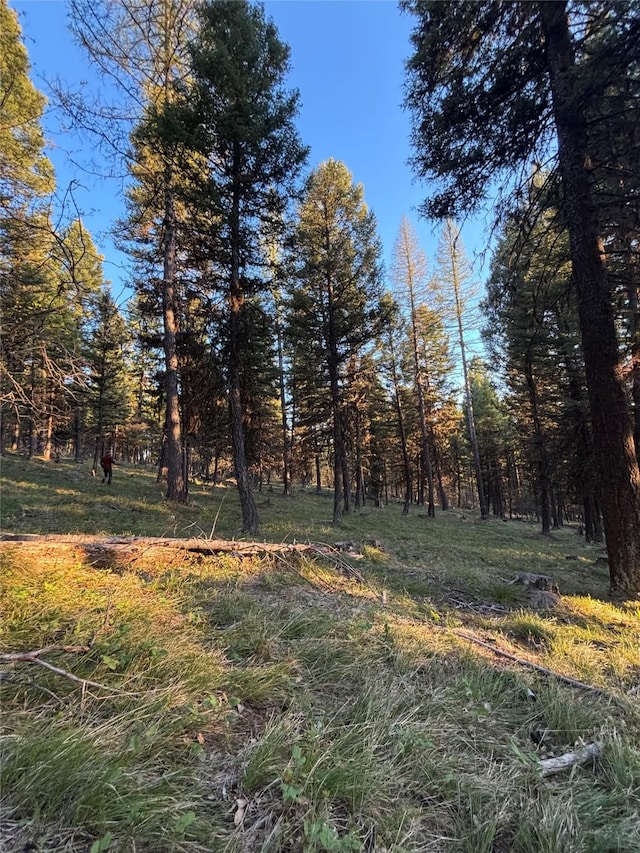 139 Montana View Dr, Seeley Lake, MT 59868