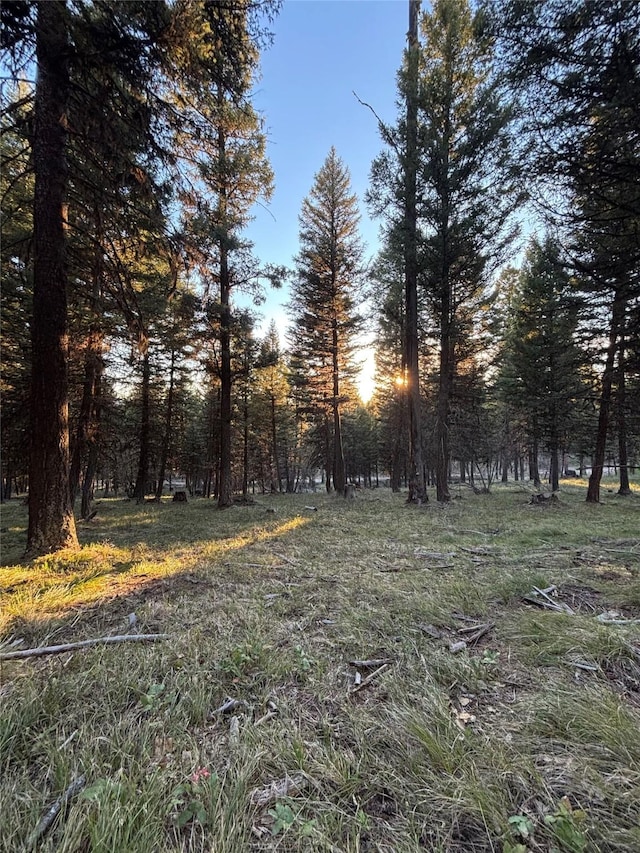 139 Montana View Dr, Seeley Lake, MT 59868
