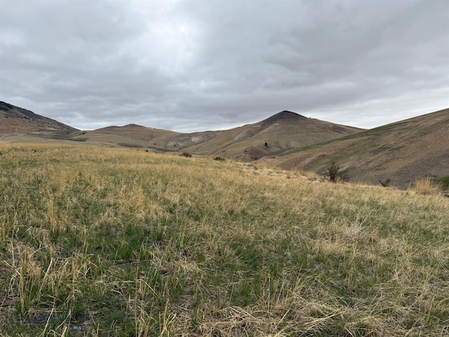 76 Outlaw Trl, Anaconda, MT 59711
