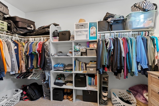 200 Ali Loop, Kalispell, MT 59901 - walk in closet with carpet flooring