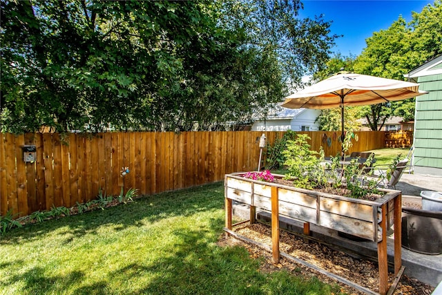 view of yard featuring a garden