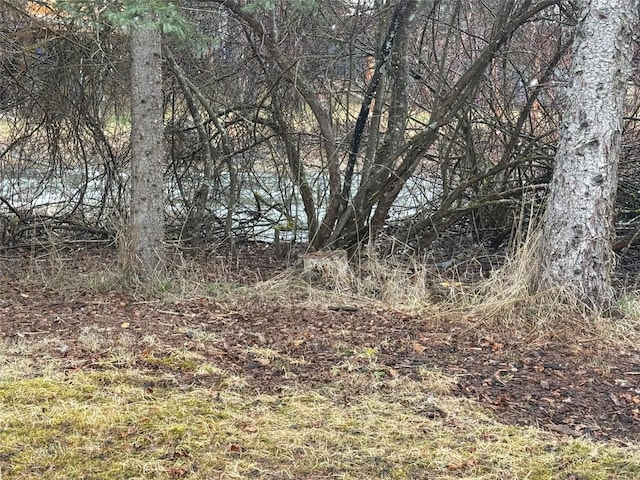 view of nature
