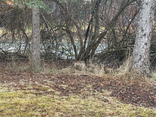 142 W Pipe Creek Rd, Libby, MT 59923 - view of nature