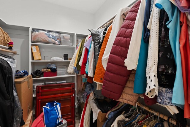 203 Kismet Ct, Hamilton, MT 59840 - view of spacious closet
