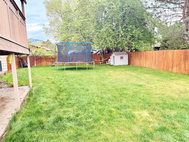view of yard featuring a trampoline, a storage unit, and an outbuilding
